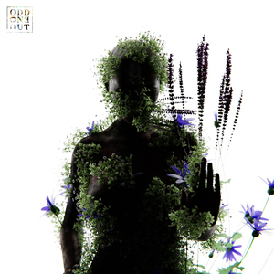 女学生洗澡AAA毛片
